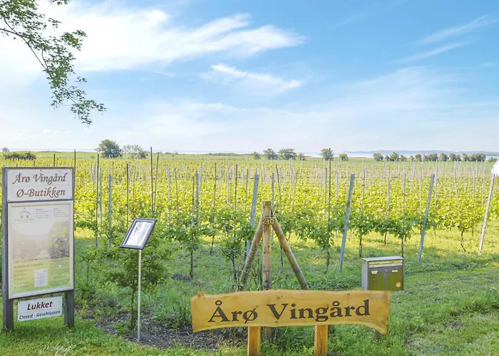 Aro Strandvaenget Ix 度假居 *